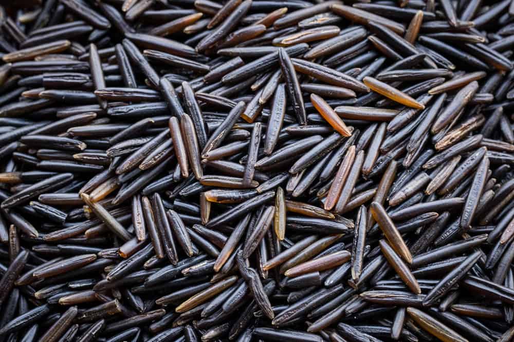 Cultivated, blackened wild rice