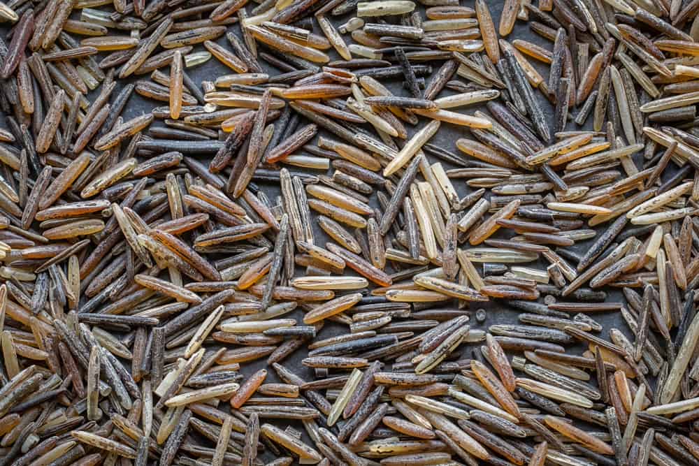 Wood parched hand harvested wild rice 