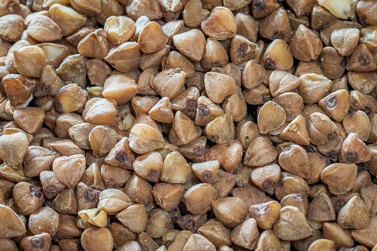 Roasted buckwheat kasha close up 