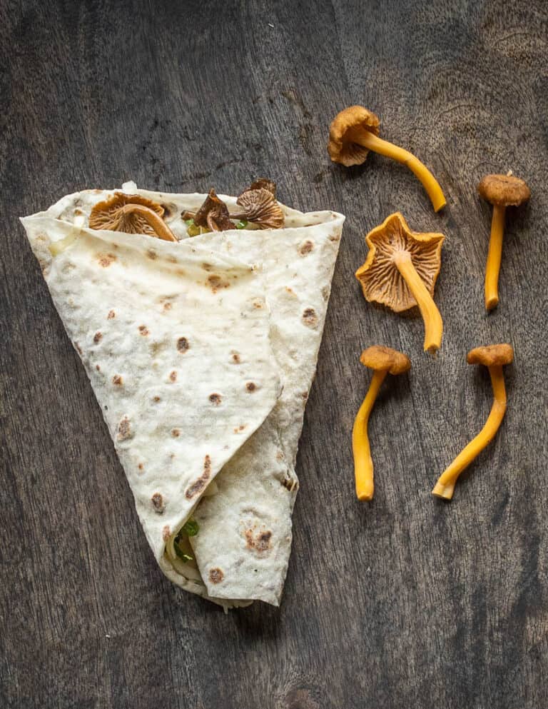 Foraging and Cooking Yellowfoot Chanterelle Mushrooms