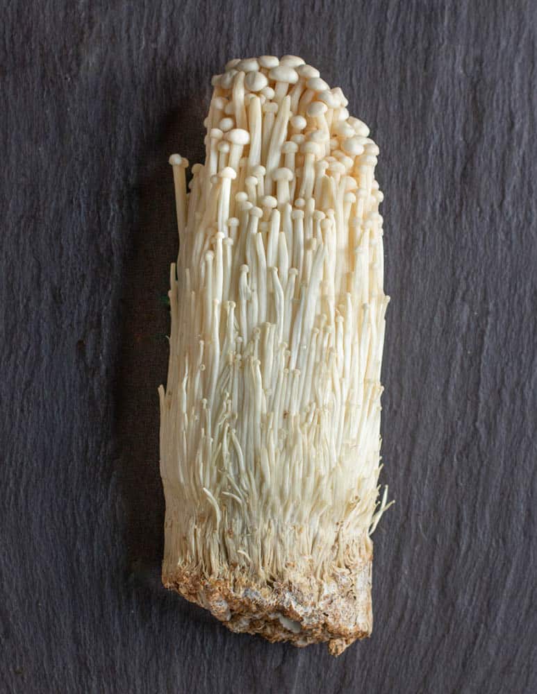 Commercial enoki mushrooms or Flammulina velutipes