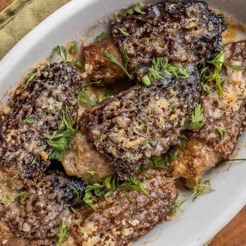 Baked stuffed dried morels with crab filling in a baking dish topped with herbs. 