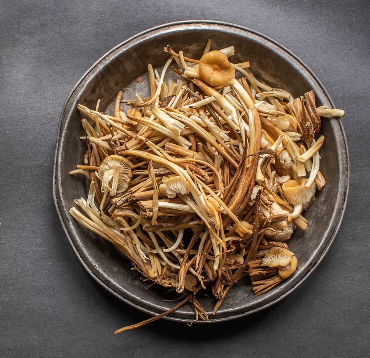 Wild enoki mushroom clones or Flammulina velutipes stems