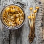 Enoki or Flammulina velutipes mushrooms pickled in fish sauce (2)