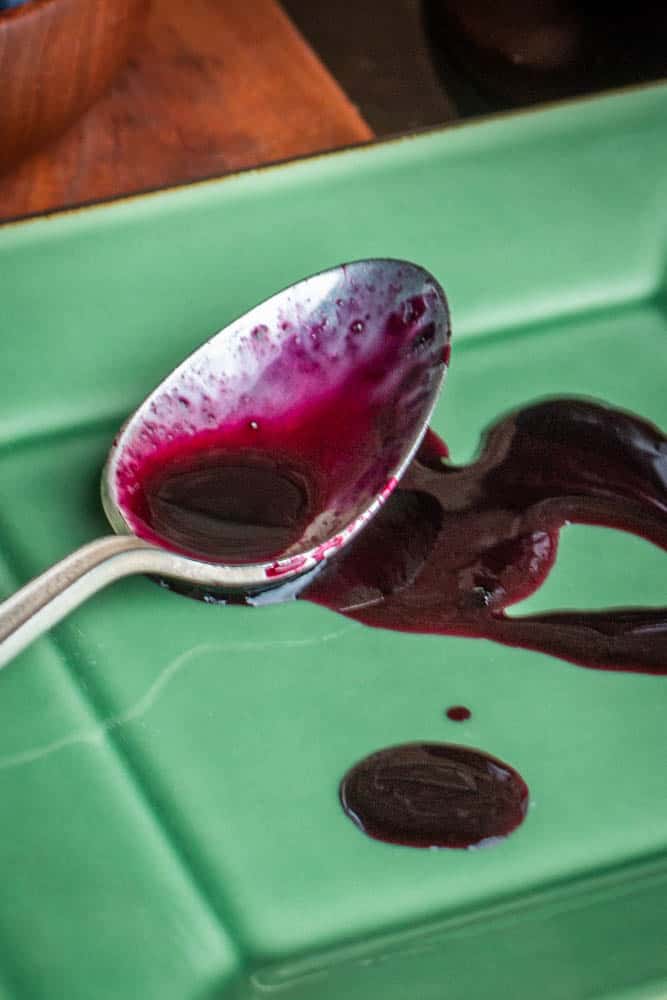 Wild blueberry juice reduction or molassses recipe