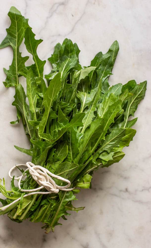 Common edible dandelions