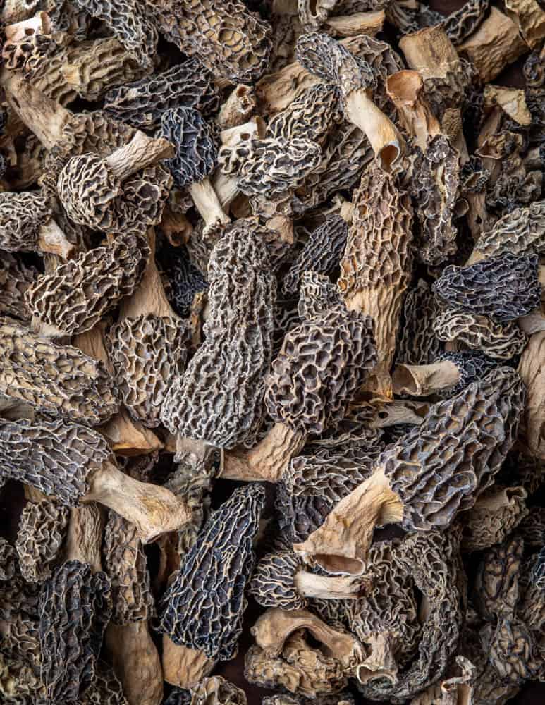 Dried morel mushrooms from Minnesota 