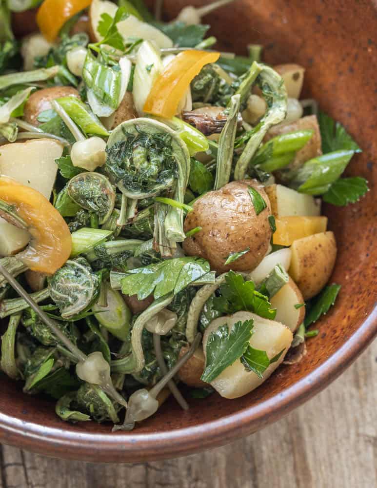 Dried fiddlehead potato salad with fermented ramp seeds (1)