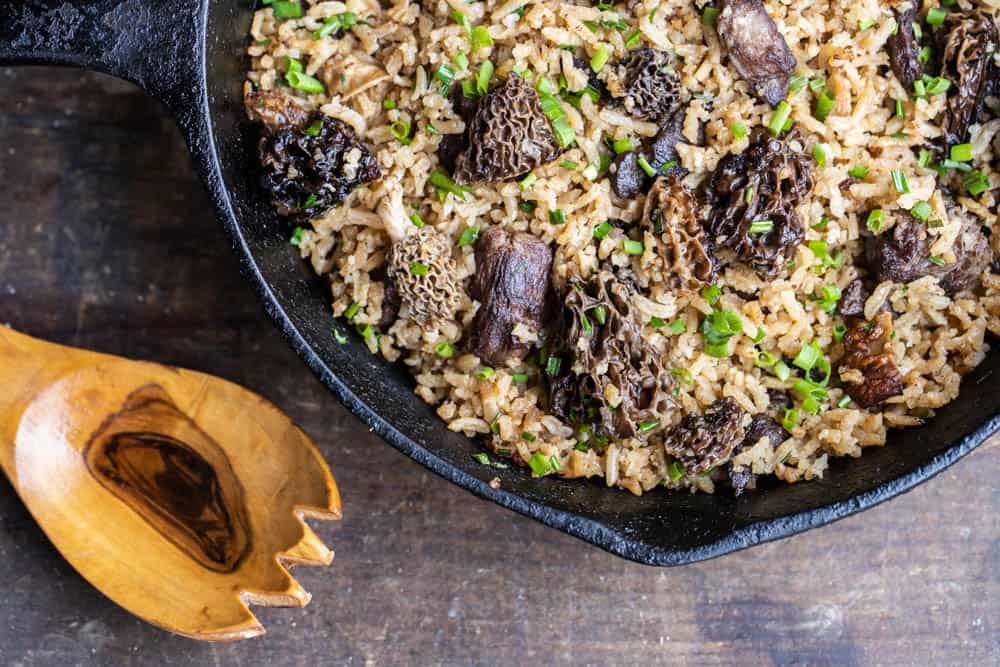 Dried morel and venison rice 