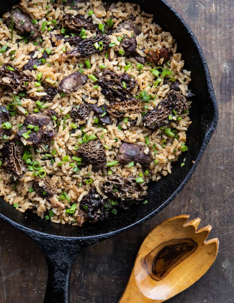 Dried morel and venison pilaf