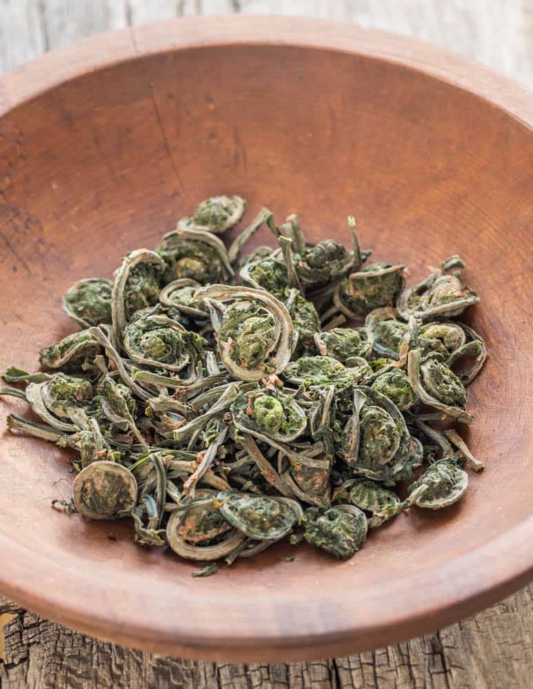 Dried or dehydrated ostrich fiddlehead ferns