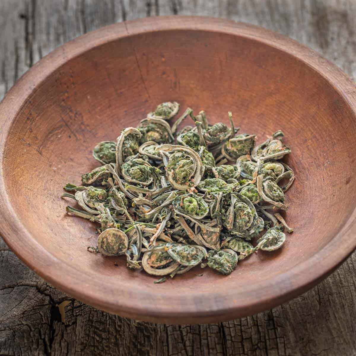 Dried or dehydrated ostrich fiddlehead ferns