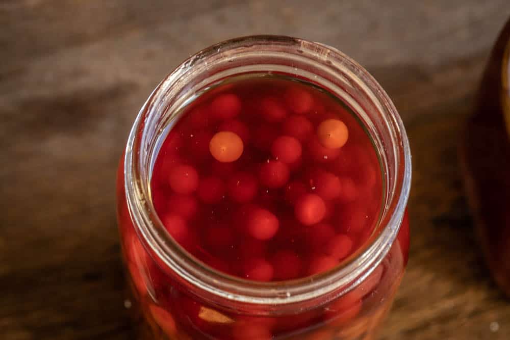 Highbush cranberry vodka with honey and sweetfern (3)