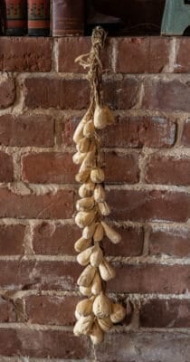 Thíŋpsiŋla braid or dried prairie turnips