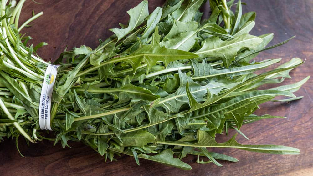 wild dandelion greens