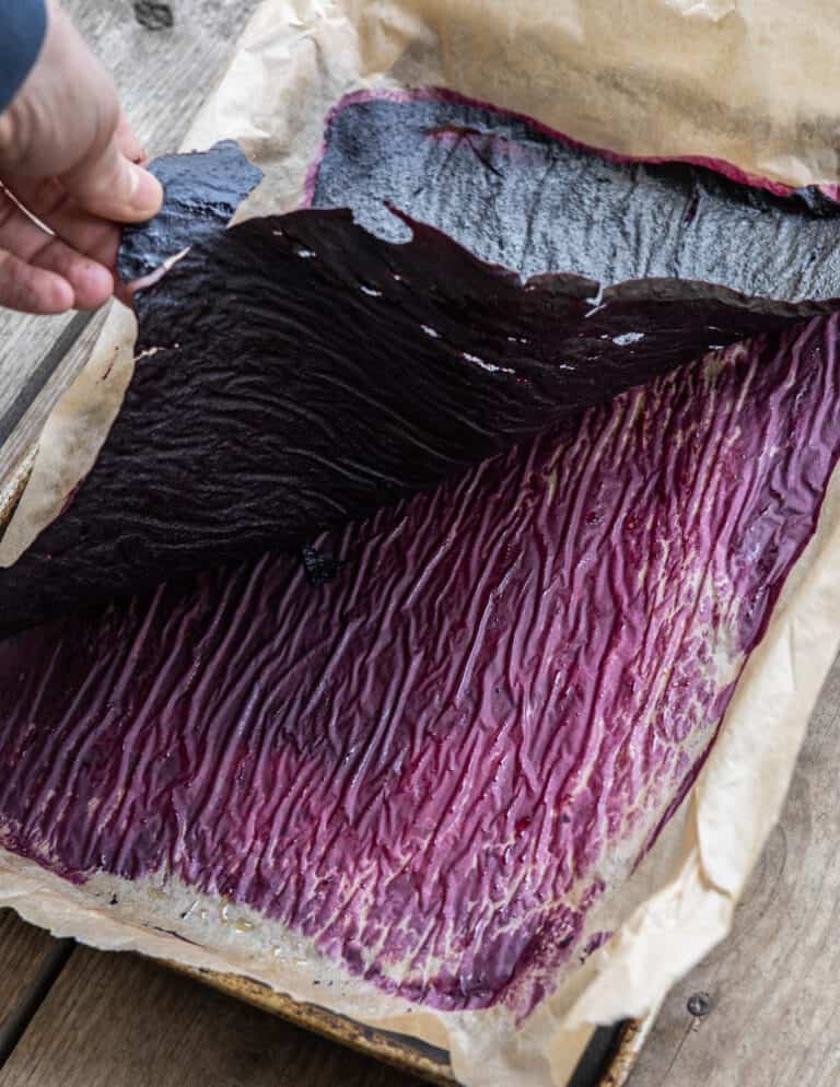 Homemade Blueberry Leather FORAGER CHEF