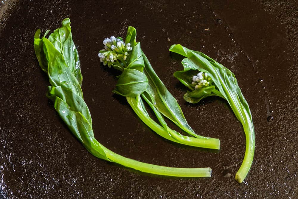 Cooked Virginia Bluebells Mertensia virginica