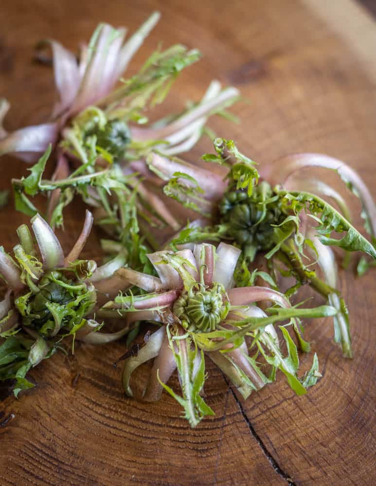 Trimmed dandelion crowns or hearts