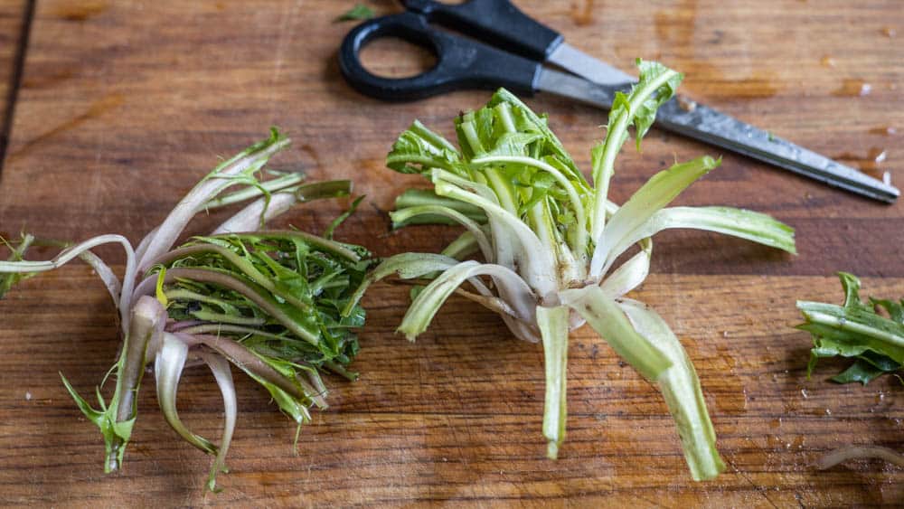 Trimmed dandelion crowns or hearts