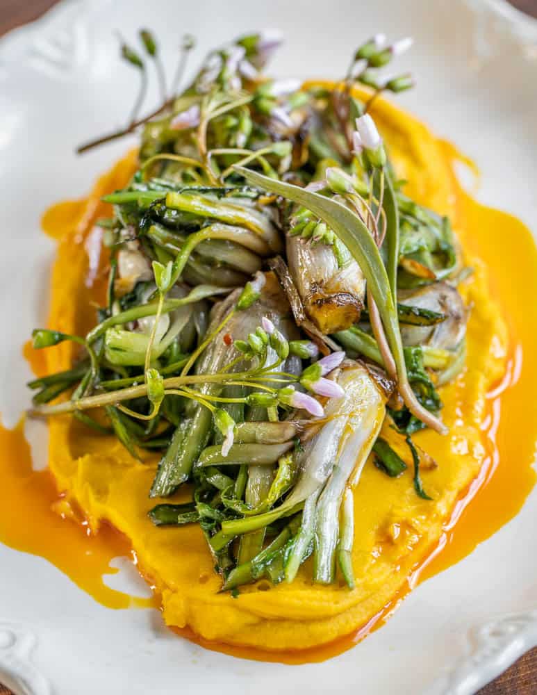 Apulian style dandelion hearts with bean puree, acorn oil, garlic and spring beauty recipe