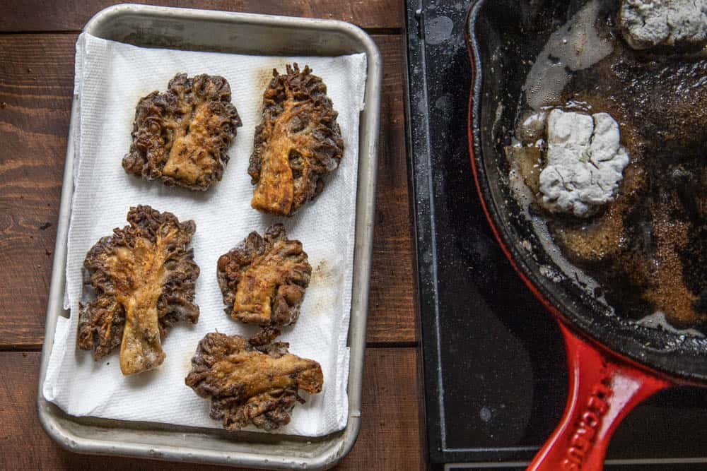 Fried Gyromitra mushrooms