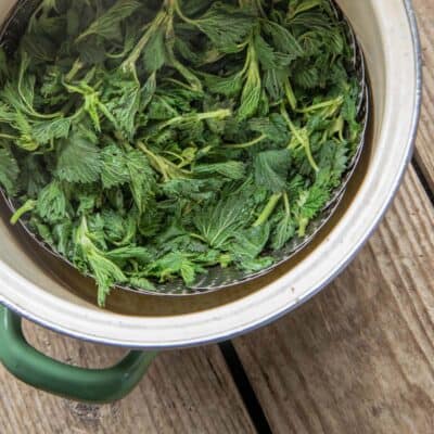 A pot of steamed stinging nettles 