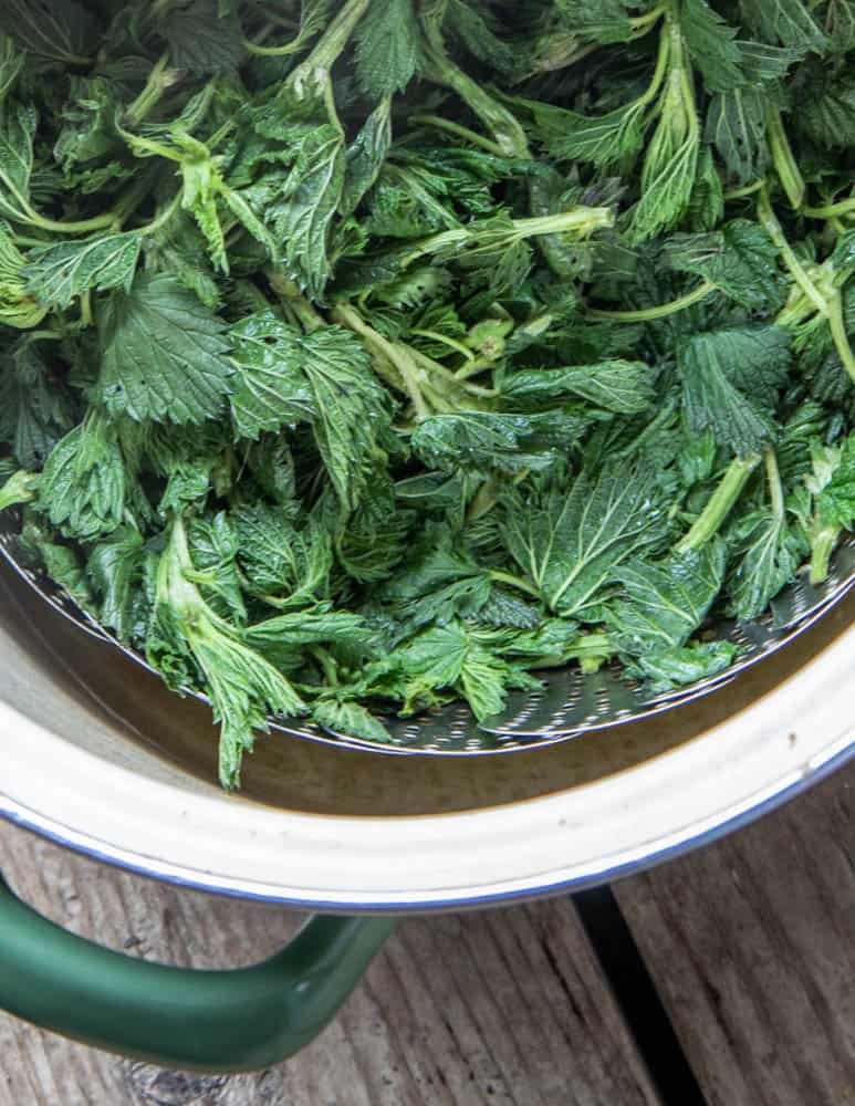 Steaming nettles