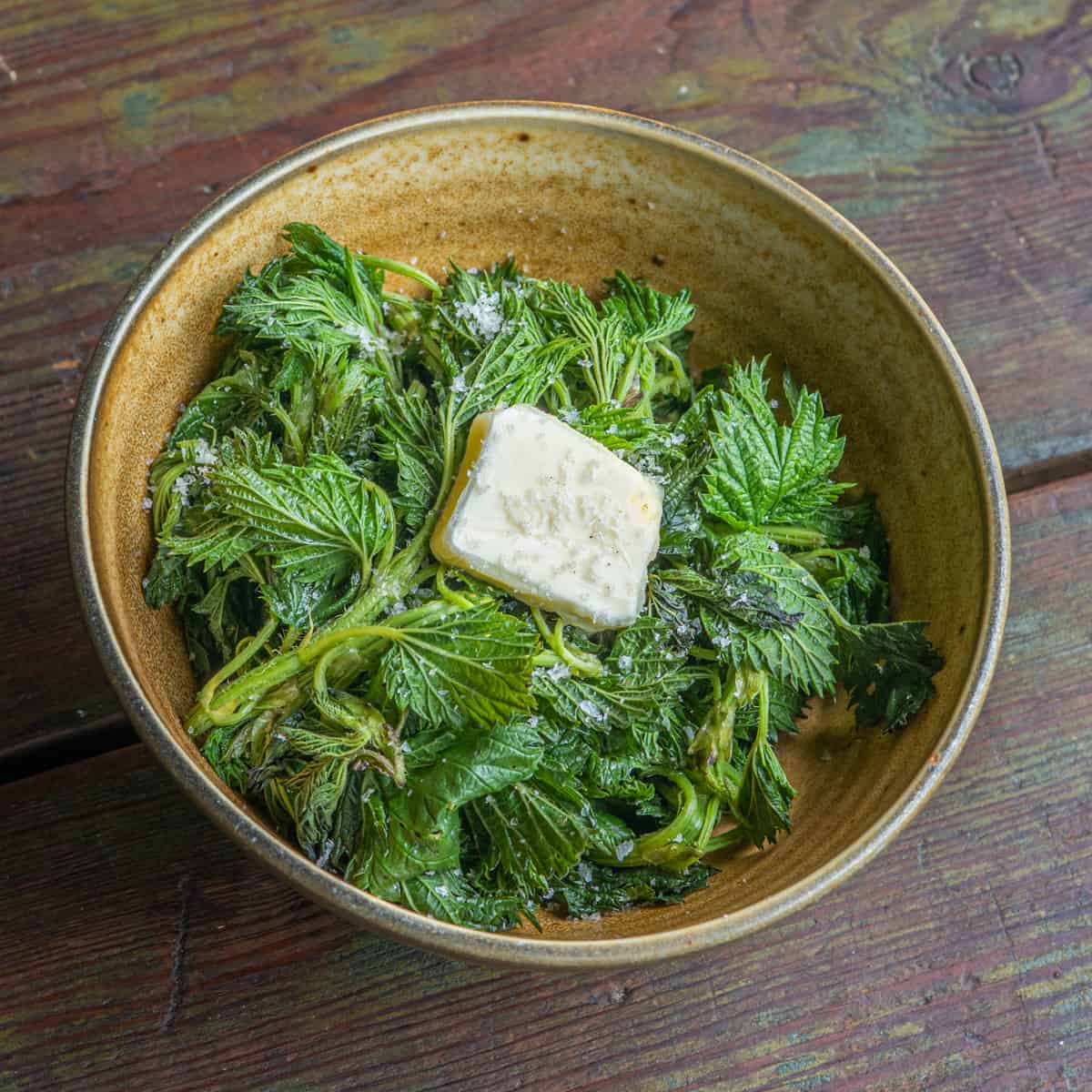 Steamed Nettles - Forager | Chef