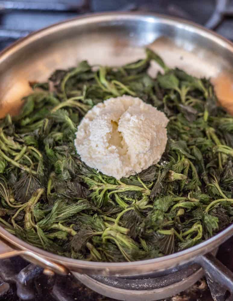 Adding ricotta to a pan of steamed nettles