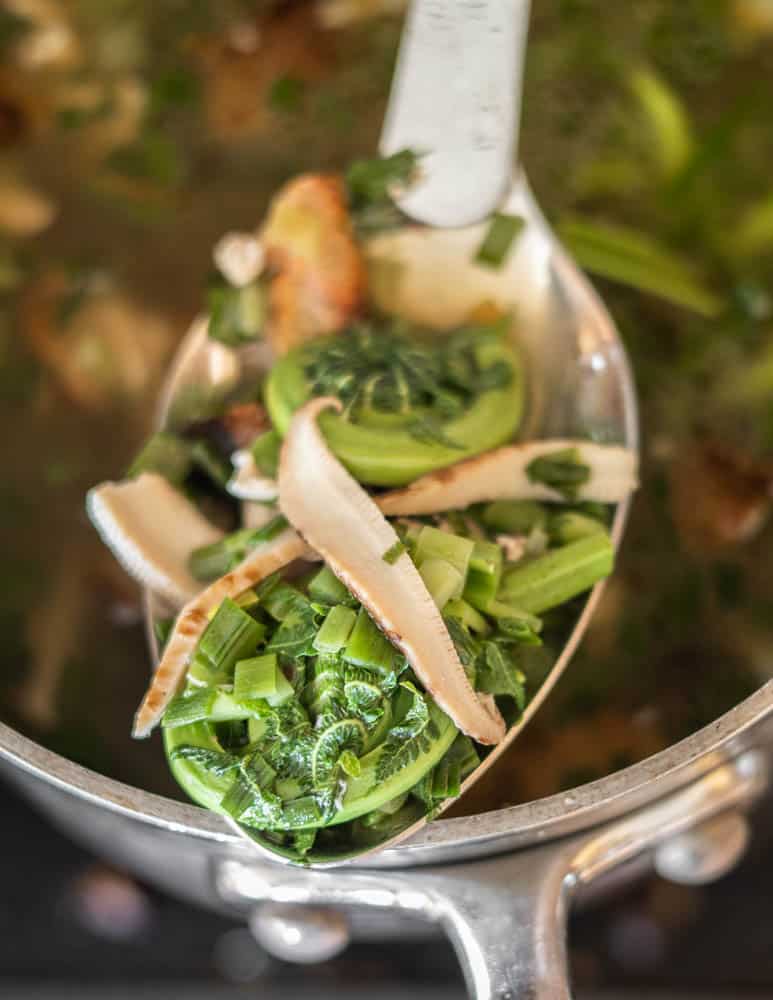 fiddleheads and pheasant back mushrooms on a spoon 