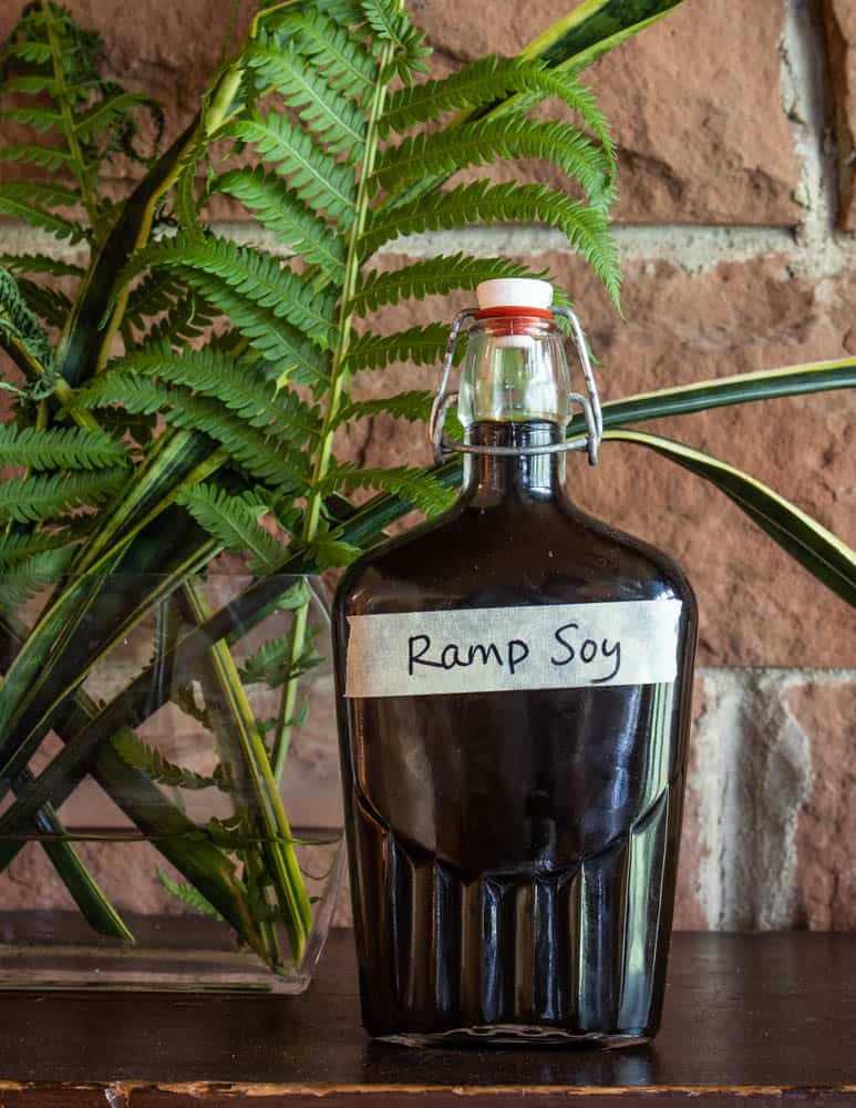 Fermented ramp leaf soy sauce recipe