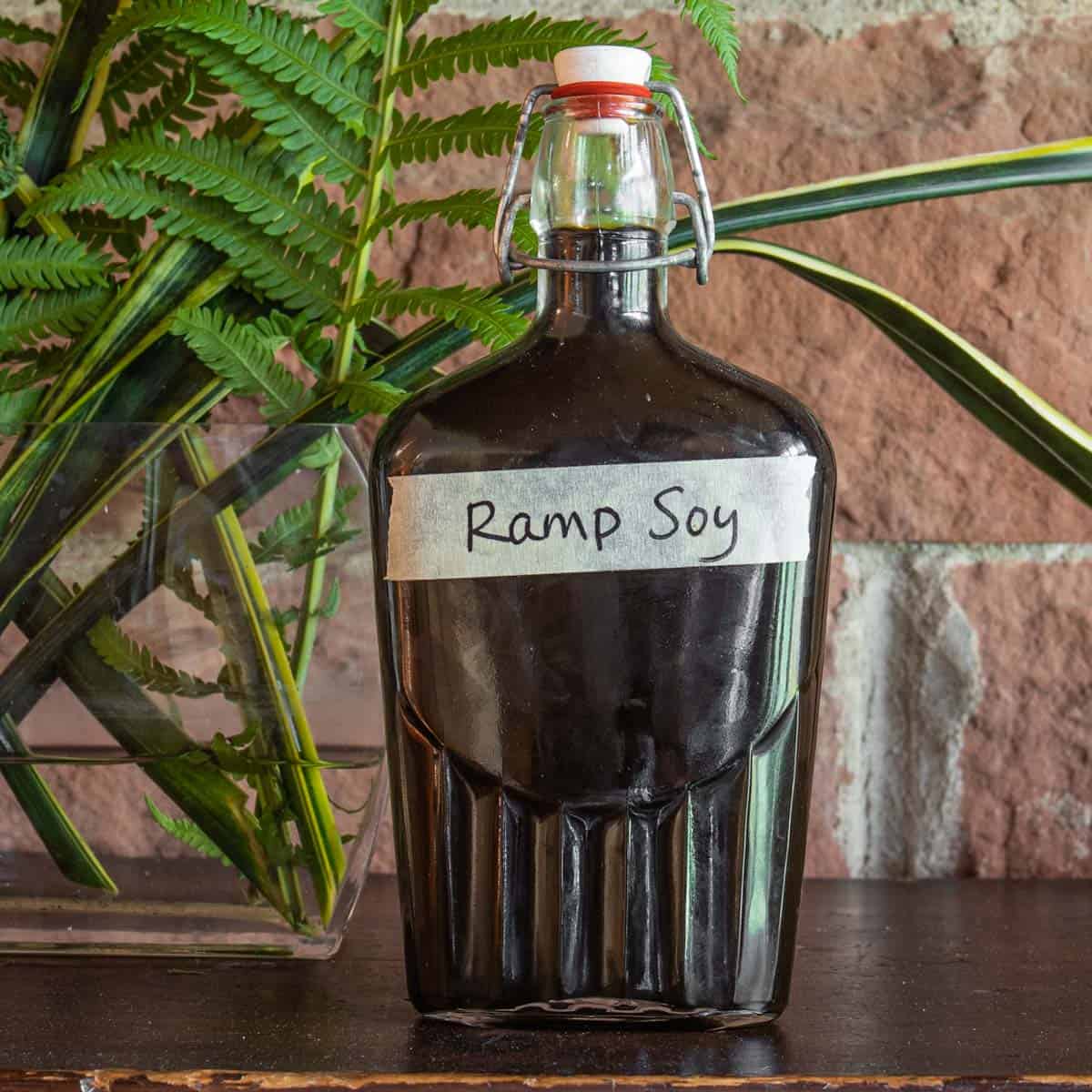 Fermented ramp leaf soy sauce recipe