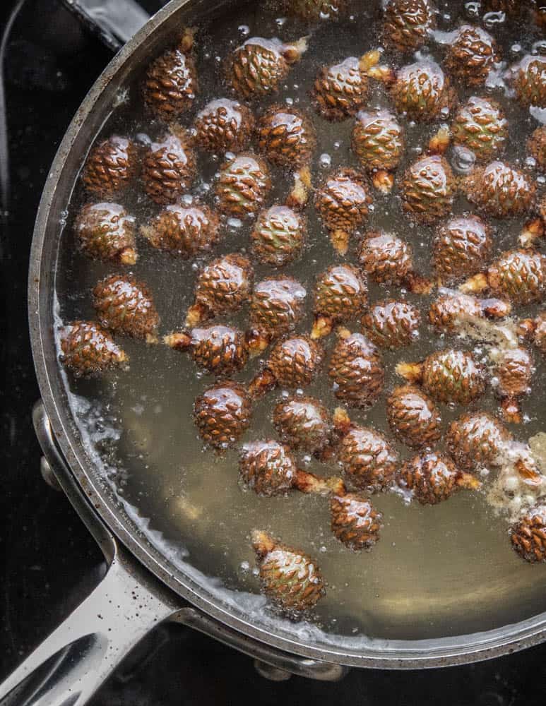 Blanching red pine cones for varenye