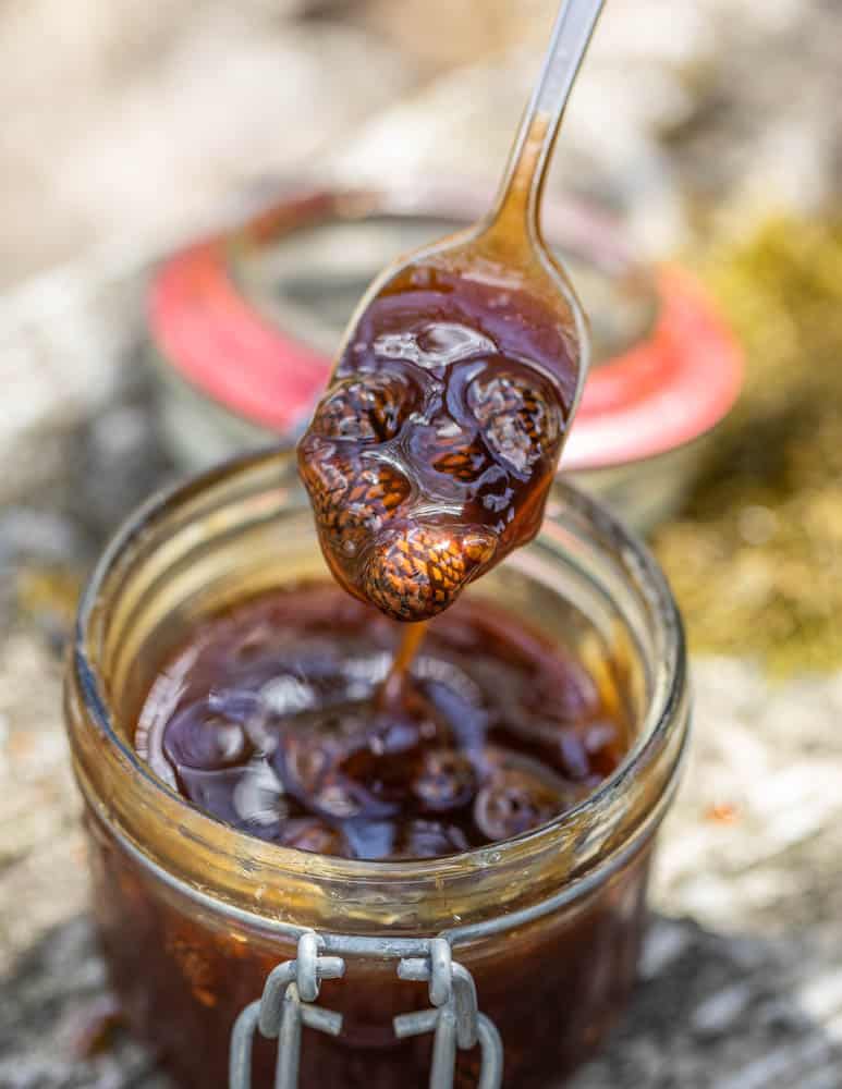 Pine cones preserves in apple molasses