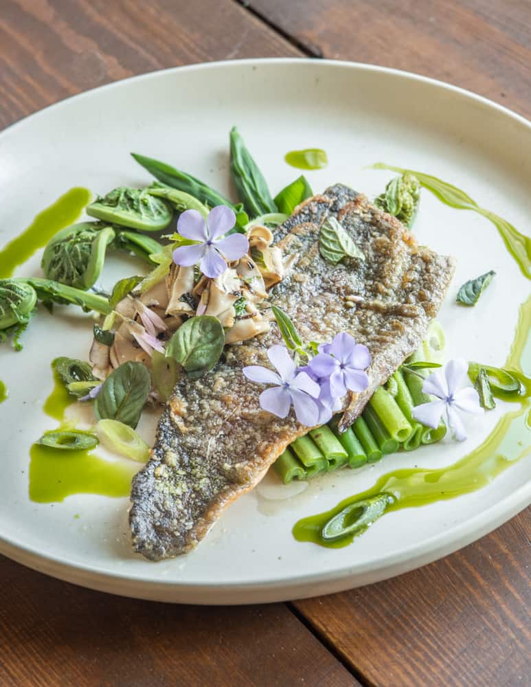 Trout with pheasant back mushrooms, spring shoots and ramp oil