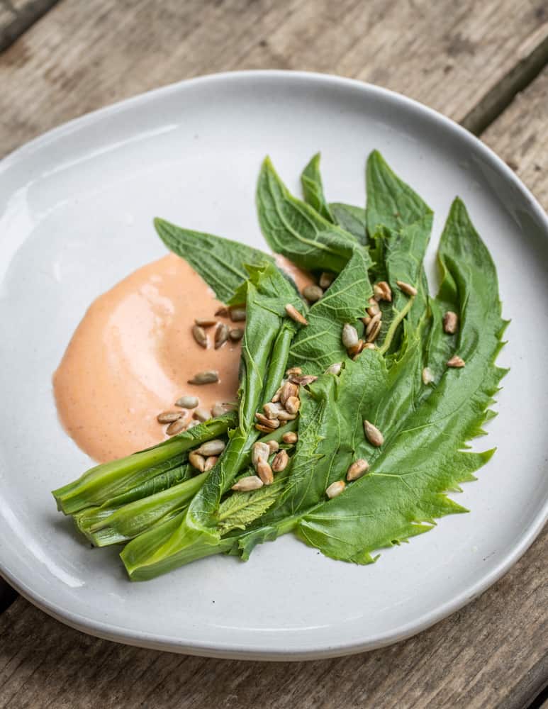 Silphium with harissa sauce and sunflower seeds