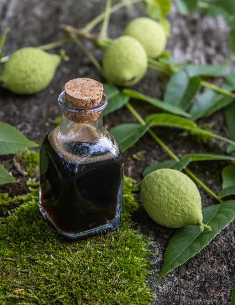 Green black walnut honey