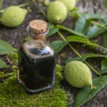 Green black walnut honey in a jar next to unripe green black walnuts.