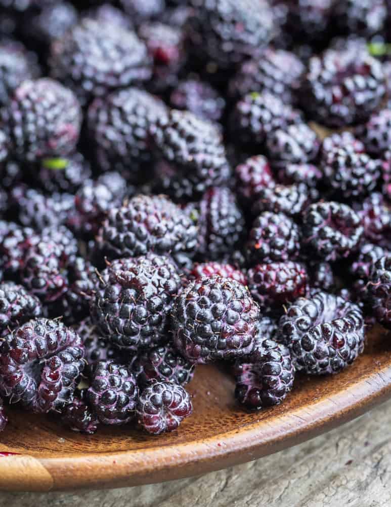 Wild blackcap raspberries or black raspberries (1)