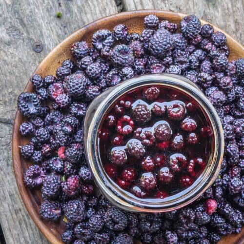 The Ultimate BerryInfused Vinegar Forager Chef