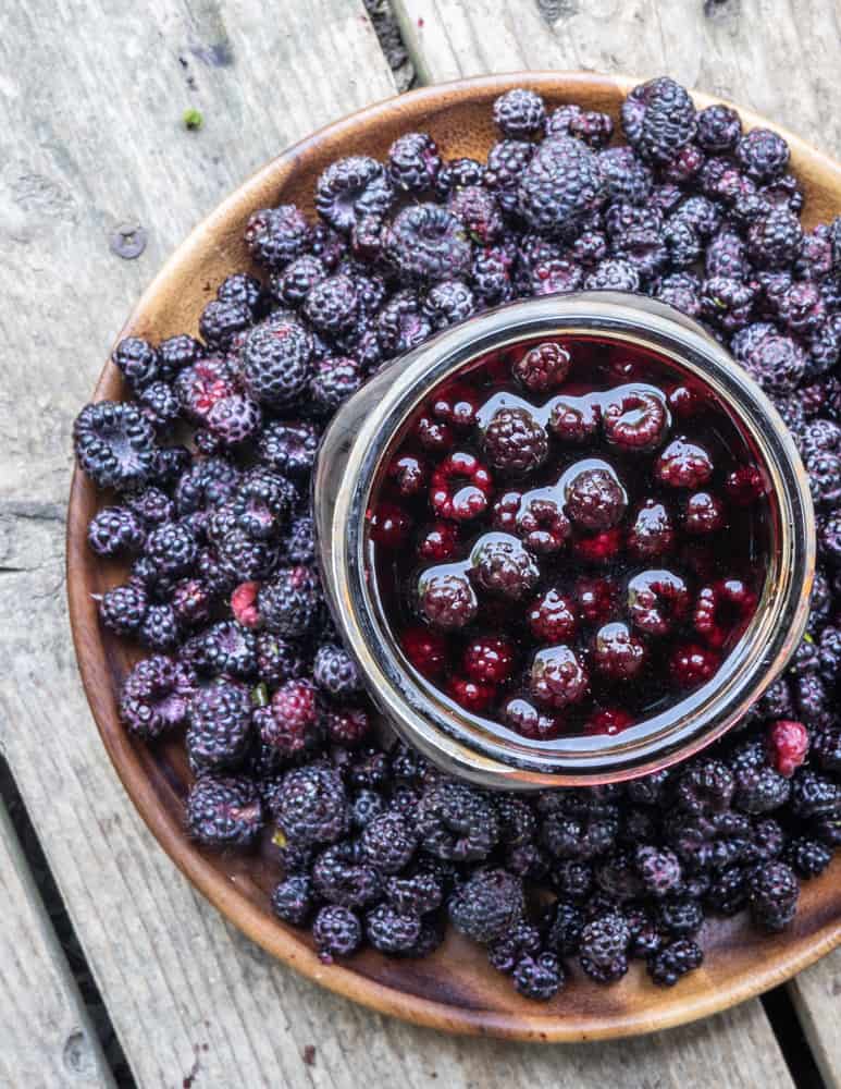 Wild blackcap raspberry or black raspberry infused vinegar 