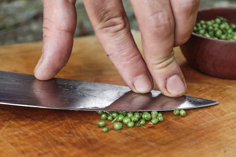 Crushing green coriander or unripe coriander