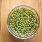 Fermenting green coriander