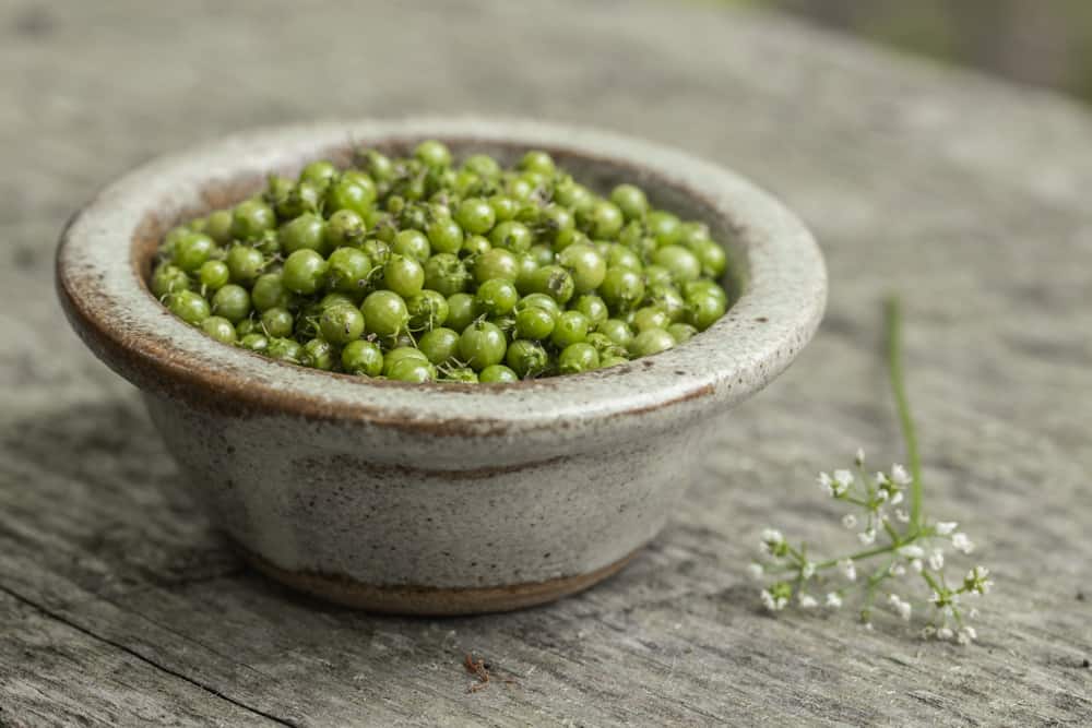 Green coriander, unripe coriander or cilantro seed