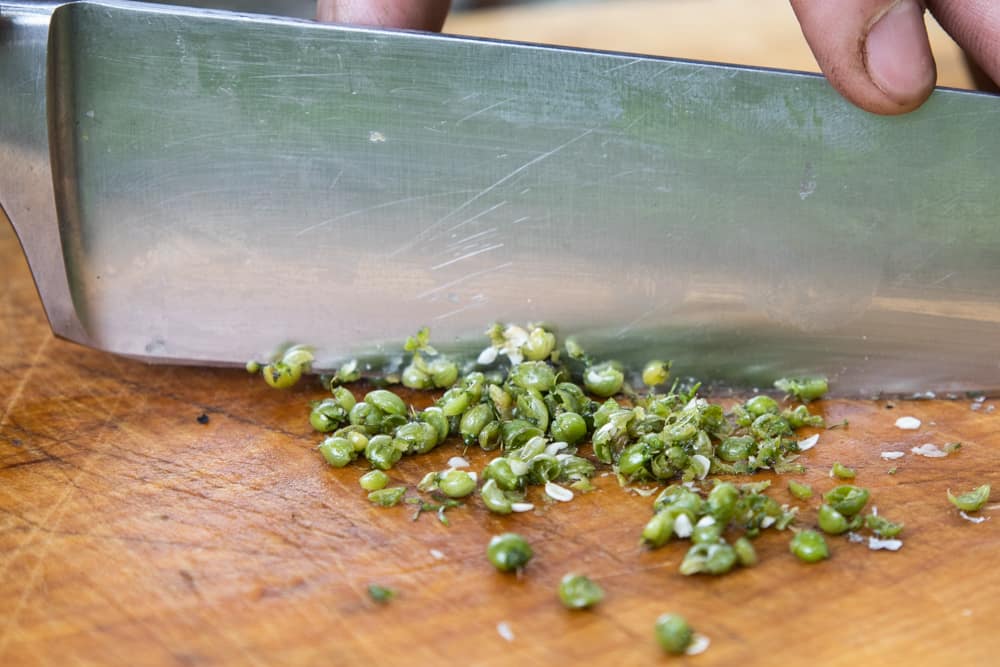 Chopping green coriander seeds