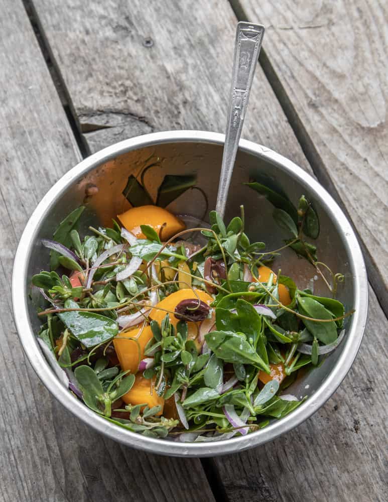 Wild Greek salad with purslane, stonecrop, and grape tendrils