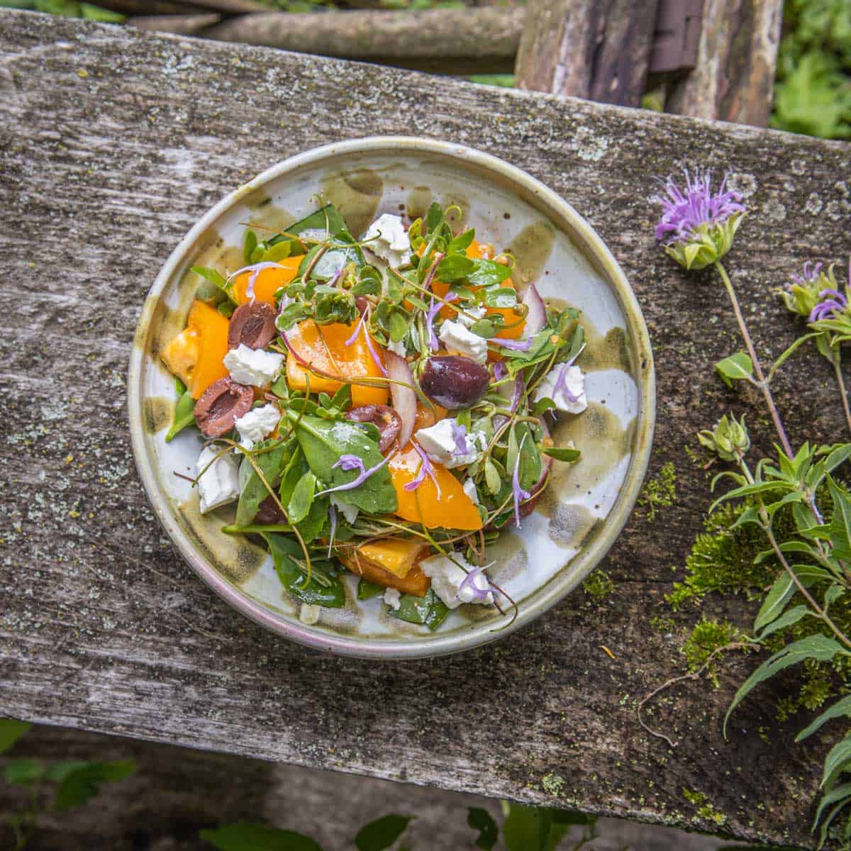 Wild Greek salad recipe with purslane, stonecrop, bergamot flowers and grape tendrils