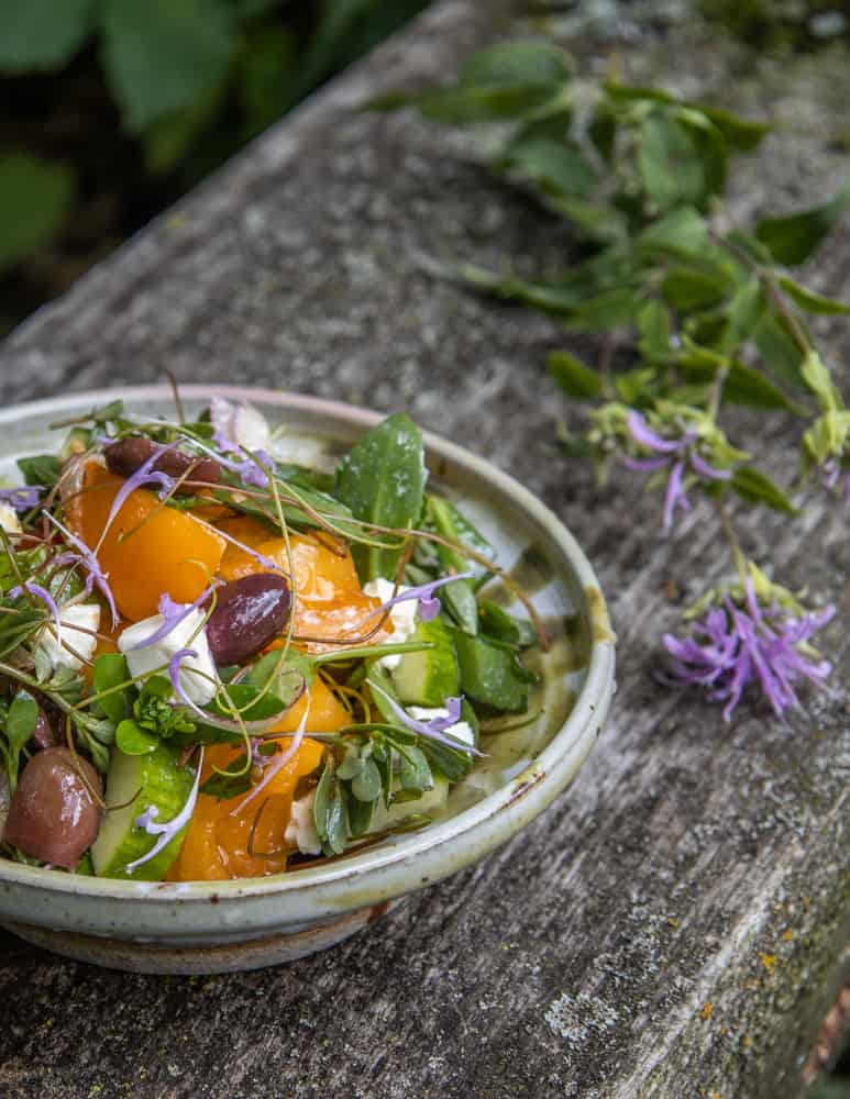 Wild Greek salad recipe with purslane, stonecrop, and grape tendrils