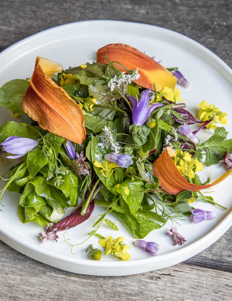 Foraged green salad 