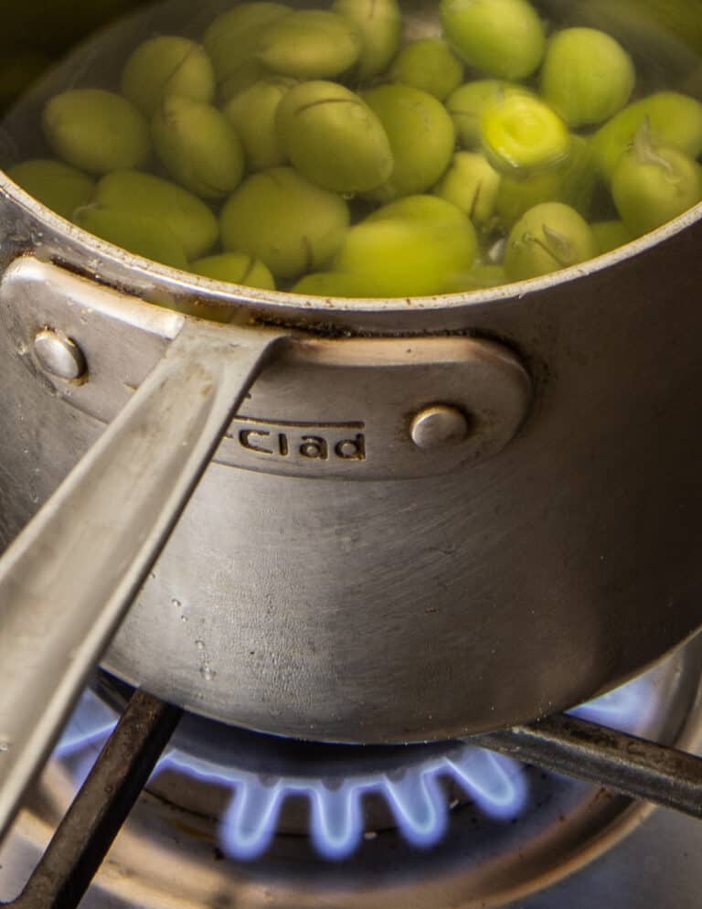 Foraging and Cooking Green Kentucky Coffee Beans